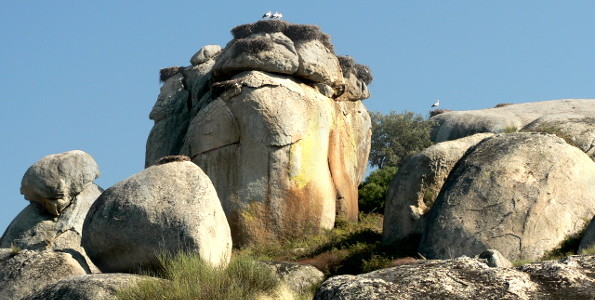 Storks and stones in Barruecos